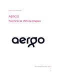 Aergo 白書