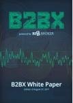 Whitepaper di B2B