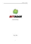 BitSoar Белая книга