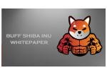 Buff Shiba Inu 白書