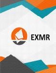 Whitepaper de EXMR FDN